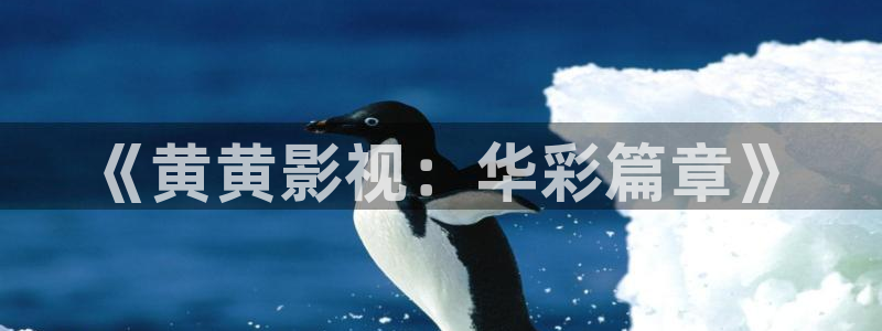 草草影院最新地址