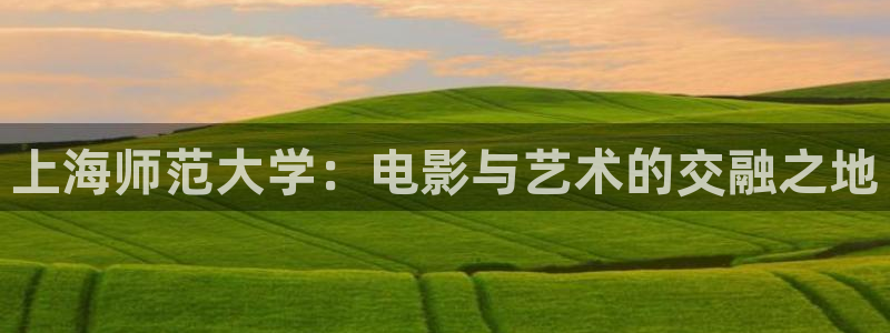 草草影院最新网站